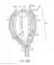Fig. 64 - Systems and methods for inducing negative pressure in a portion of a urinary tract of a patient