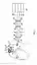 Fig. 02 - Percutaneous access apparatus