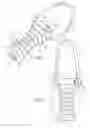 Fig. 02 - Systems and methods for the treatment of oral and systemic maladies in animals using electrical current