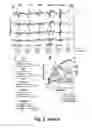 Fig. 07 - Engaging the cervical spinal cord circuitry to re-enable volitional control of hand function in tetraplegic subjects