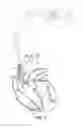 Fig. 06 - Inverted E-antenna for implantable medical devices