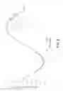 Fig. 09 - MAGNETIC STIMULATION COIL ARRANGEMENT