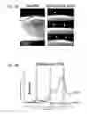 Fig. 04 - OPTOGENETIC CONTROL OF ENDOTHELIAL CELLS