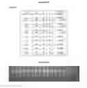 Fig. 07 - Phosphors and scintillators for light stimulation within a medium