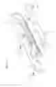 Fig. 04 - ICE SKATE ATTACHMENT