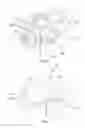 Fig. 04 - Toy building element and toy building set