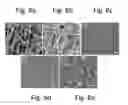 Fig. 07 - Preparation of hand-carry gravity-driven water filter with high throughput and water disinfection performance