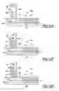 Fig. 89 - VACUUM ASSIST FOR A MICROPLATE