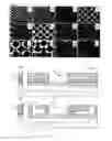 Fig. 09 - Versatile 3D stretchable micro-environment for organ-on-chip devices fabricated with standard silicon technology