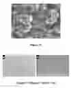 Fig. 07 - COMPOSITIONS AND METHODS FOR CREATING FUNCTIONALIZED, ROUGHENED SURFACES AND METHODS OF CREATING REPELLANT SURFACES