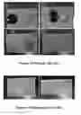 Fig. 08 - COMPOSITIONS AND METHODS FOR CREATING FUNCTIONALIZED, ROUGHENED SURFACES AND METHODS OF CREATING REPELLANT SURFACES