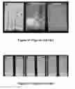 Fig. 09 - COMPOSITIONS AND METHODS FOR CREATING FUNCTIONALIZED, ROUGHENED SURFACES AND METHODS OF CREATING REPELLANT SURFACES