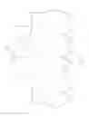 Fig. 08 - Saw blade having ramp elements with a variable curve geometry