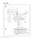 Fig. 17 - POLISHING APPARATUS AND POLISHING METHOD