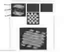 Fig. 01 - Deformable auxetic structure and manufacturing process