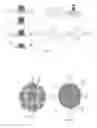 Fig. 06 - Deformable auxetic structure and manufacturing process