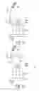 Fig. 08 - Printing apparatus