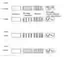 Fig. 02 - Security element, method for producing the same and value document