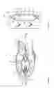 Fig. 06 - Outlet device