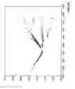 Fig. 12 - Method for dynamically calibrating vehicular cameras