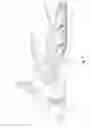 Fig. 02 - Snow vehicle