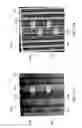 Fig. 08 - Nondestructive inspection techniques for rotorcraft composites