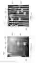 Fig. 09 - Nondestructive inspection techniques for rotorcraft composites