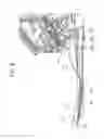 Fig. 07 - Medium discharge device and image reading apparatus