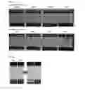 Fig. 09 - Method for preparing functionalized graphene