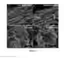 Fig. 06 - Graphene materials and improved methods of making, drying, and applications