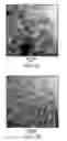 Fig. 08 - Solid-state crystallization of metal organic frameworks within mesoporous materials methods and hybrid materials thereof