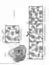 Fig. 22 - Solid-state crystallization of metal organic frameworks within mesoporous materials methods and hybrid materials thereof