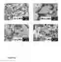 Fig. 10 - Nanostructured mixed metal oxides as catalysts and method of making thereof