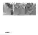 Fig. 16 - Nanostructured mixed metal oxides as catalysts and method of making thereof