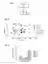 Fig. 04 - Systems and processes for the treatment of waste streams allowing direct activated carbon and membrane contact