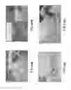 Fig. 49 - Dehydrator system and methods of using the same