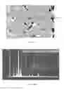 Fig. 12 - PURIFIED CERAMIC MATERIALS AND METHODS FOR MAKING THE SAME