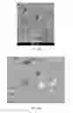 Fig. 13 - PURIFIED CERAMIC MATERIALS AND METHODS FOR MAKING THE SAME