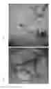 Fig. 07 - SOIL ENHANCEMENT