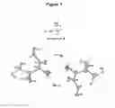 Fig. 02 - Benzoylglycine derivatives and methods of making and using same