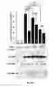 Fig. 07 - Small molecule regulators of mitochondrial fusion and methods of use thereof
