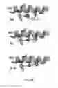Fig. 72 - Small molecule regulators of mitochondrial fusion and methods of use thereof
