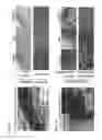 Fig. 06 - Small molecules that enable cartilage rejuvenation