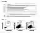 Fig. 28 - Small molecules that enable cartilage rejuvenation