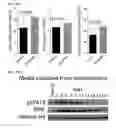 Fig. 45 - Small molecules that enable cartilage rejuvenation