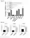 Fig. 50 - Small molecules that enable cartilage rejuvenation