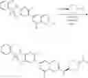 Fig. 265 - IRE1 small molecule inhibitors
