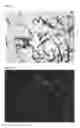 Fig. 05 - Polymorphs of N-[(6-cyano-2-fluoro)-3-methoxyphenyl)methyl]-3-(methoxymethyl)-1-({4-[(2-oxopyridin-1-yl)methyl]phenyl}methyl)pyrazole-4-carboxamide as kallikrein inhibitors