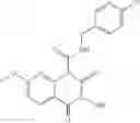 Fig. 22 - Substituted 2-N-hydroxy-1,3-dioxo-1,2,3,4-tetrahydronaphthyridines, and methods of making and using same