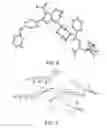 Fig. 08 - Crystalline form of (S)-7-(1-acryloylpiperidin-4-yl)-2-(4-phenoxyphenyl)-4,5,6,7-tetra-hydropyrazolo[1,5-a]pyrimidine-3-carboxamide, preparation, and uses thereof